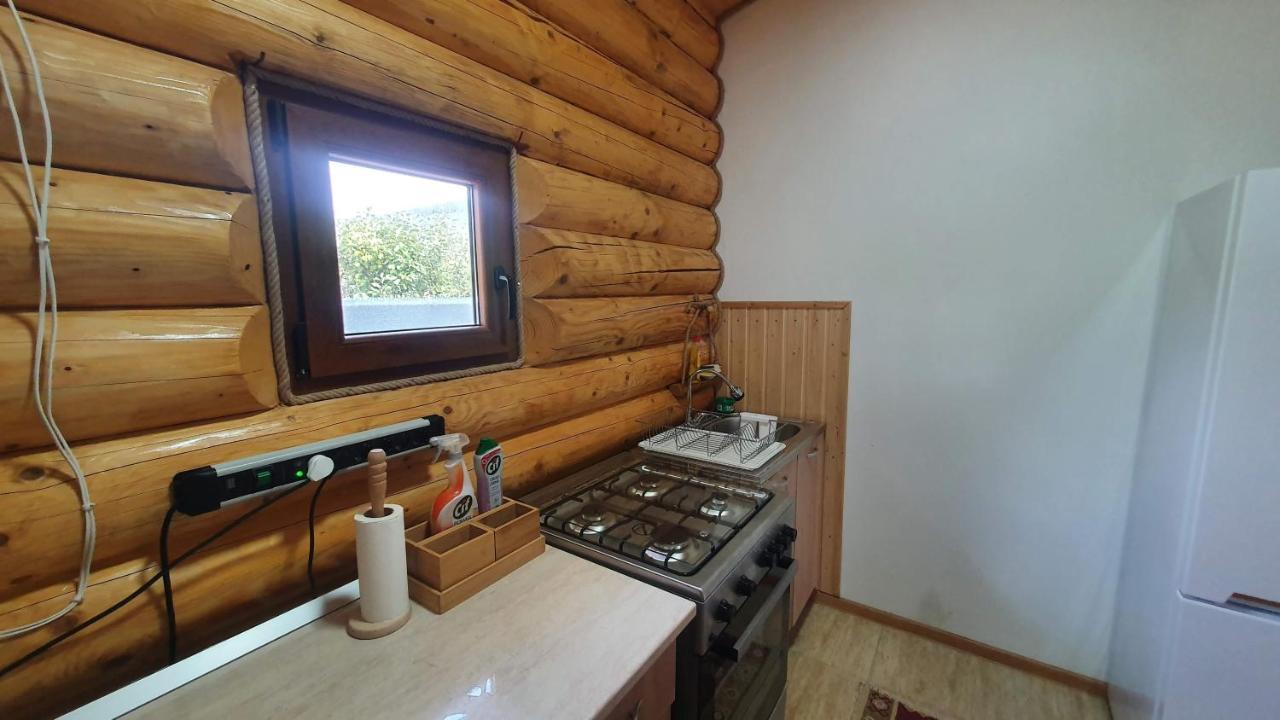 Cabana Alesia, Relaxare La Poalele Raraului Câmpulung Moldovenesc Dış mekan fotoğraf
