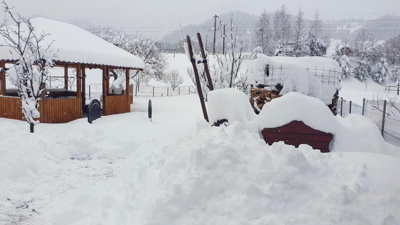 Cabana Alesia, Relaxare La Poalele Raraului Câmpulung Moldovenesc Dış mekan fotoğraf