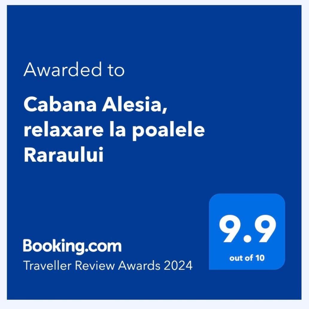 Cabana Alesia, Relaxare La Poalele Raraului Câmpulung Moldovenesc Dış mekan fotoğraf